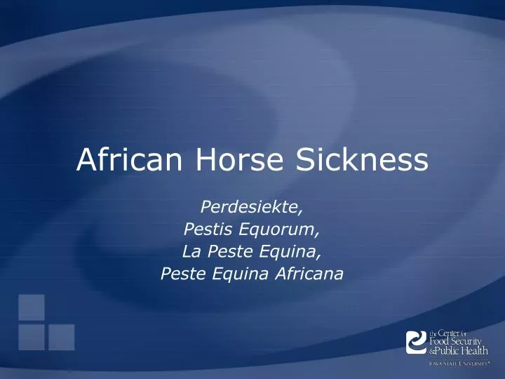 african horse sickness