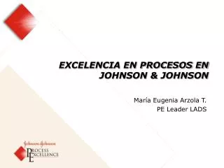 excelencia en procesos en johnson johnson