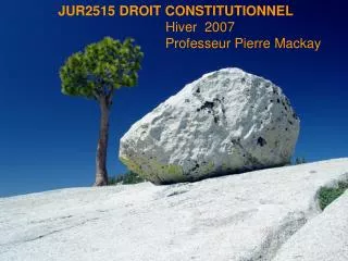 JUR2515 DROIT CONSTITUTIONNEL Hiver 2007 Professeur Pierre Mackay