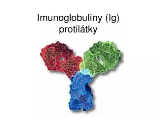 Imunoglobulíny (Ig) protilátky