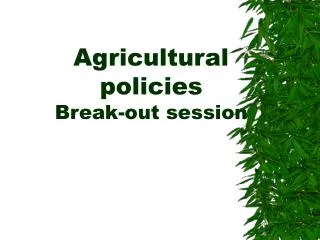 Agricultural policies Break-out session