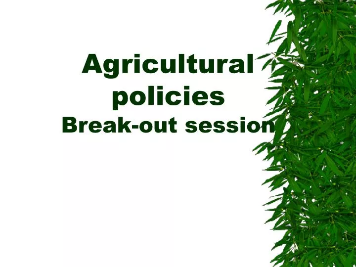 agricultural policies break out session