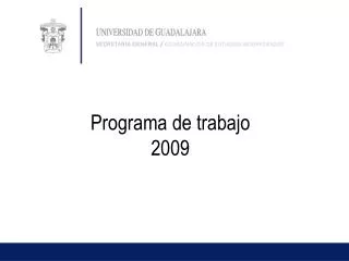 Programa de trabajo 2009