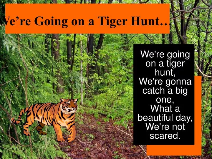 we re going on a tiger hunt