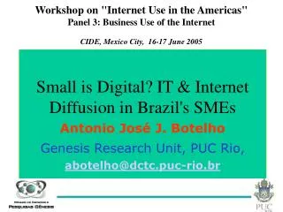 Workshop on &quot;Internet Use in the Americas&quot; Panel 3: Business Use of the Internet CIDE, Mexico City, 16-17 Jun