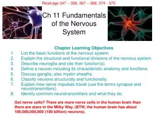 Ch 11 Fundamentals of the Nervous System