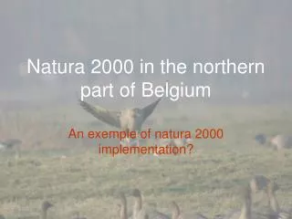 Natura 2000 in the northern part of Belgium