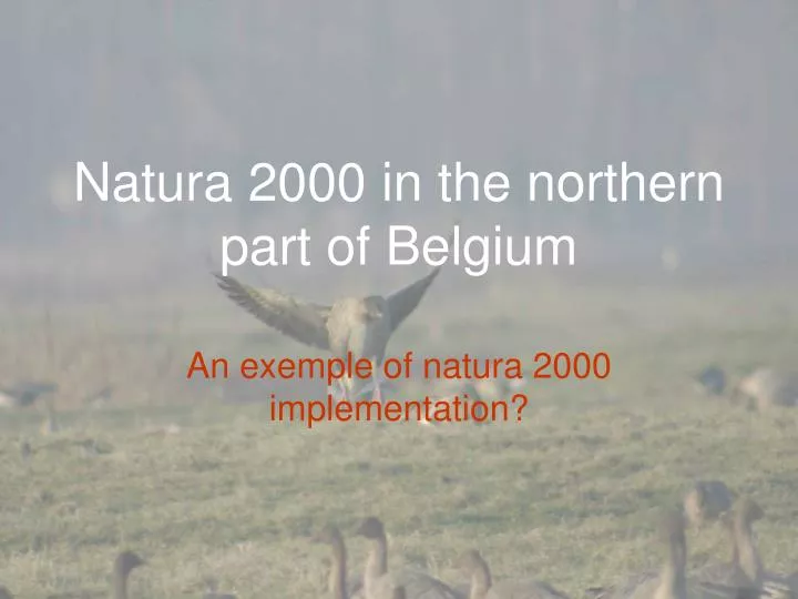 natura 2000 in the northern part of belgium