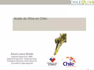Aceite de Oliva en Chile: