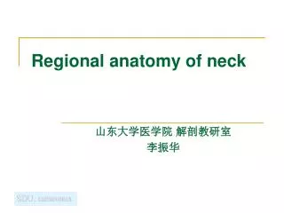 Regional anatomy of neck