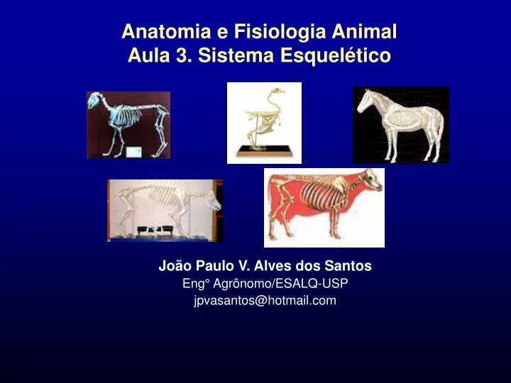 anatomia e fisiologia animal aula 3 sistema esquel tico