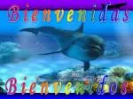 Bienvenidas - slide 1