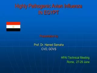 Highly Pathogenic Avian Influenza IN EGYPT