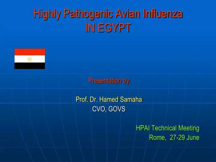 highly pathogenic avian influenza in egypt