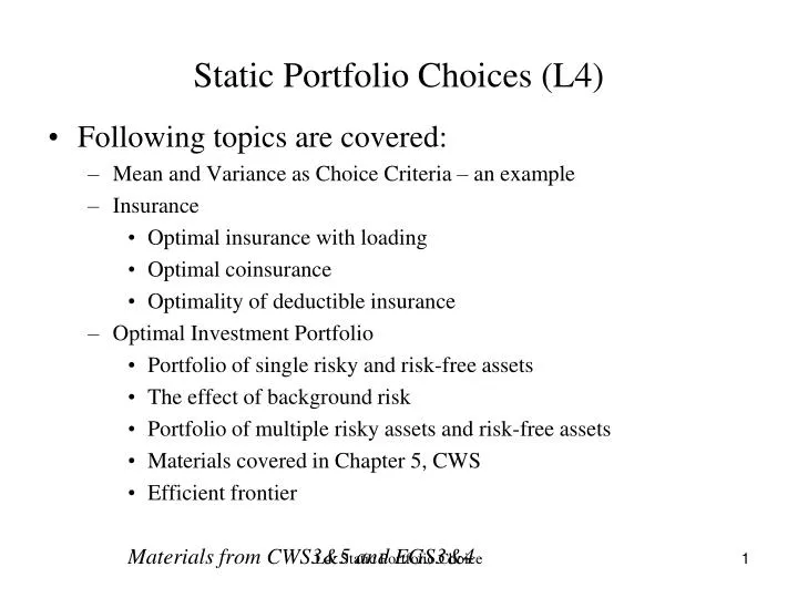 static portfolio choices l4