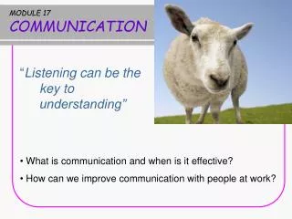 MODULE 17 COMMUNICATION