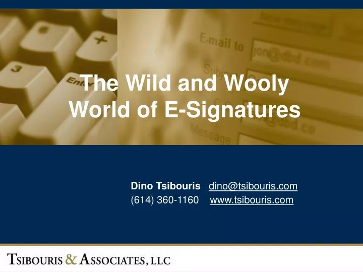the wild and wooly world of e signatures