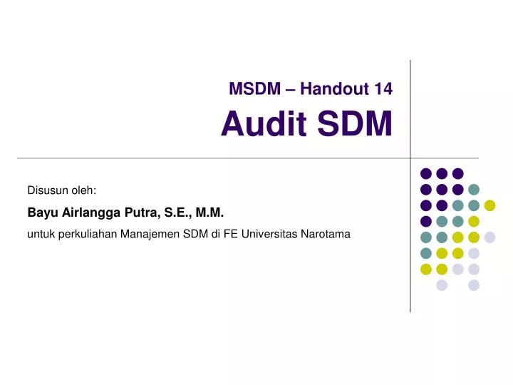 msdm handout 14 audit sdm