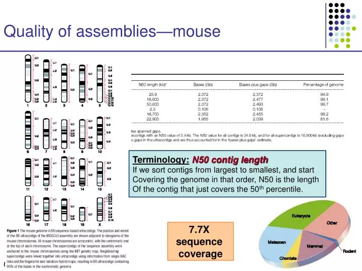 quality of assemblies mouse