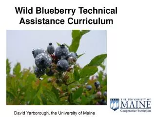 Wild Blueberry Technical Assistance Curriculum