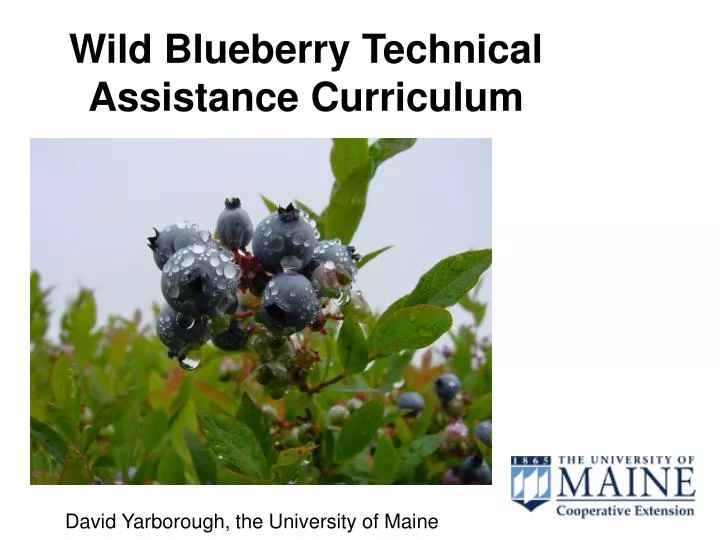 wild blueberry technical assistance curriculum
