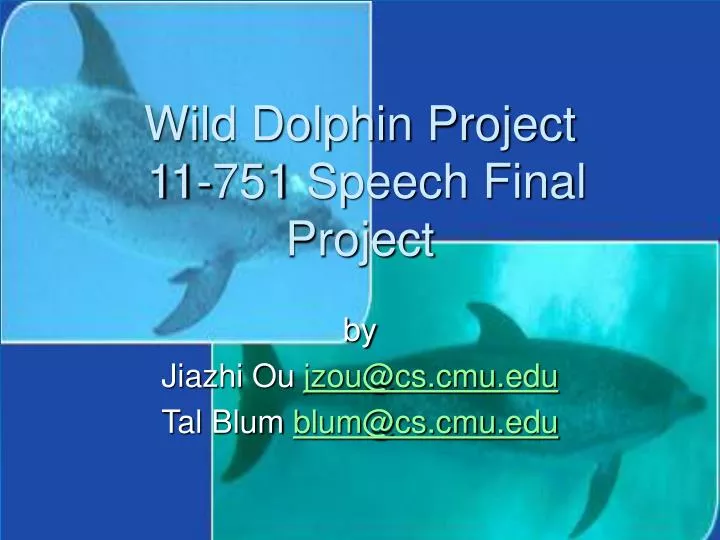 wild dolphin project 11 751 speech final project