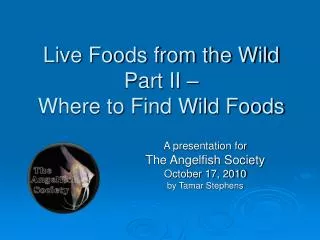 Live Foods from the Wild Part II – Where to Find Wild Foods