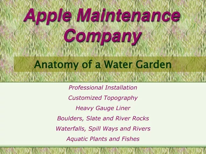 apple maintenance company