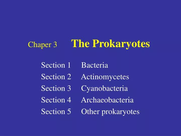 chaper 3 the prokaryotes