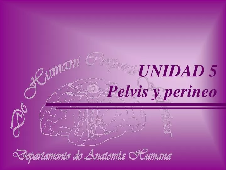 unidad 5 pelvis y perineo