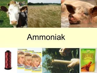 Ammoniak