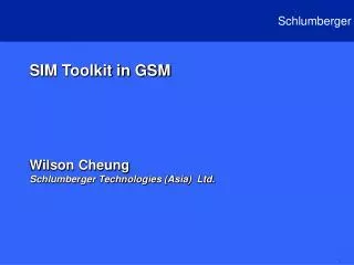 SIM Toolkit in GSM Wilson Cheung Schlumberger Technologies (Asia) Ltd.