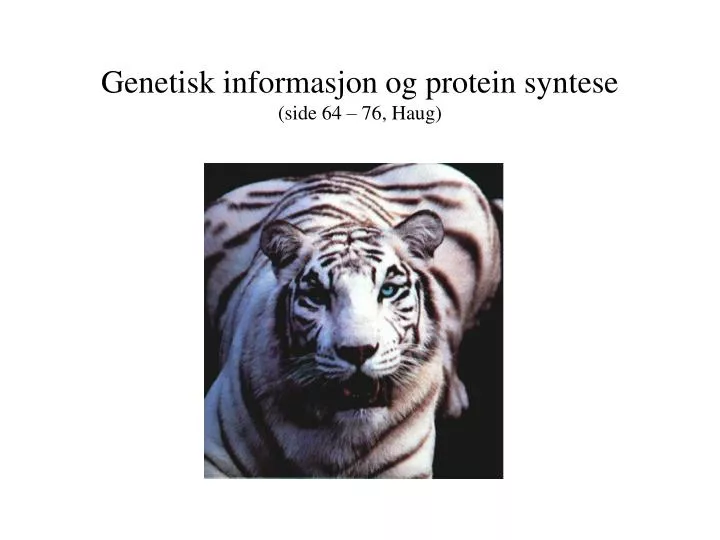 genetisk informasjon og protein syntese side 64 76 haug