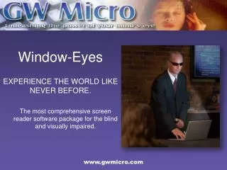 Window-Eyes
