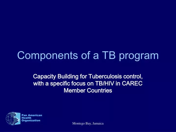 components of a tb program