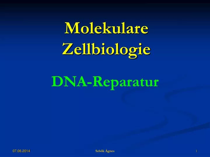 molekulare zellbiologie