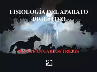 fisiolog a del aparato digestivo
