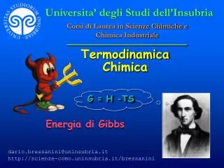 termodinamica chimica