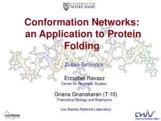 Conformation Networks: an Application to Protein Folding