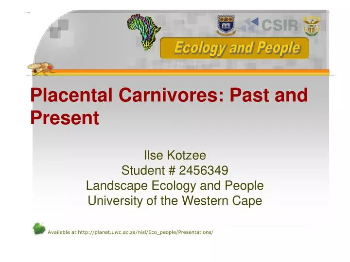 placental carnivores past and present