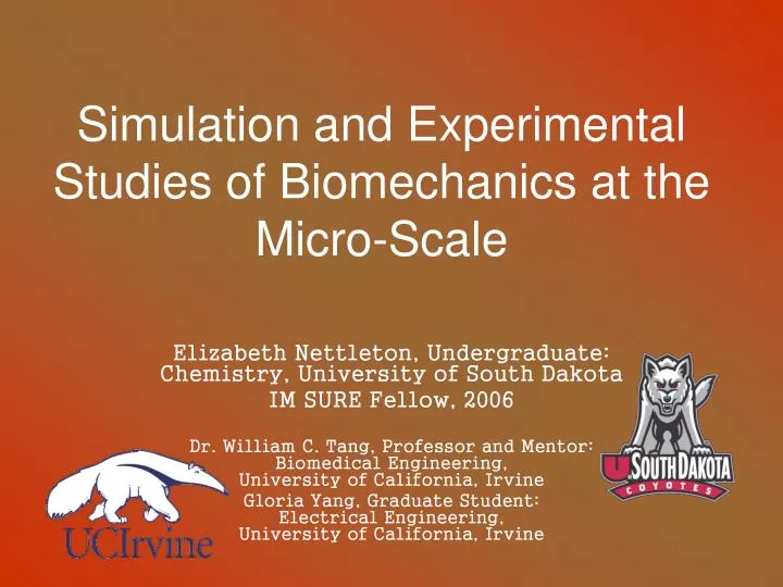 simulation and experimental studies of biomechanics at the micro scale
