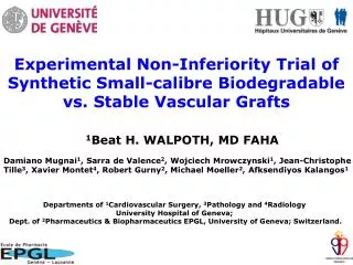 Experimental Non-Inferiority Trial of Synthetic Small-calibre Biodegradable vs. Stable Vascular Grafts