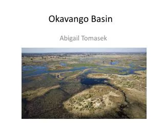 Okavango Basin