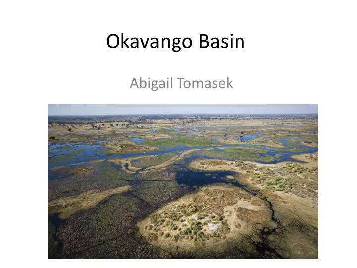okavango basin