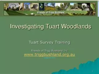 Investigating Tuart Woodlands