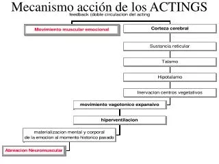 mecanismo acci n de los actings