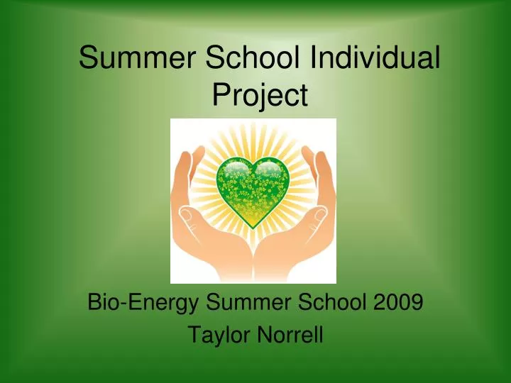 summer school individual project
