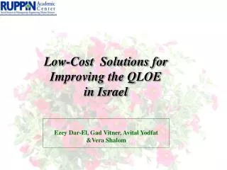 Low-Cost Solutions for Improving the QLOE in Israel