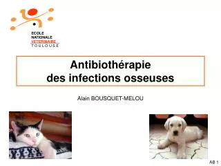 antibioth rapie des infections osseuses