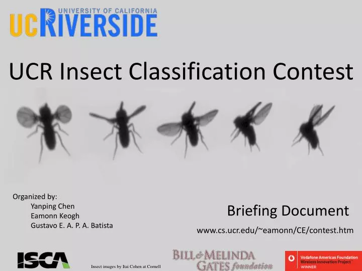 ucr insect classification contest